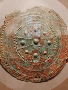 IMG20230413162134.jpg